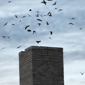 masonry chimney with birds circling around it