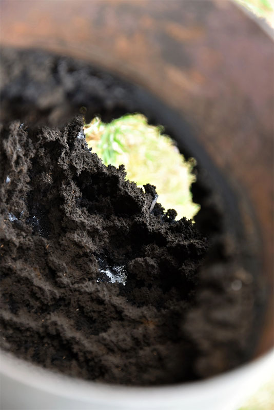 creosote in chimney flue