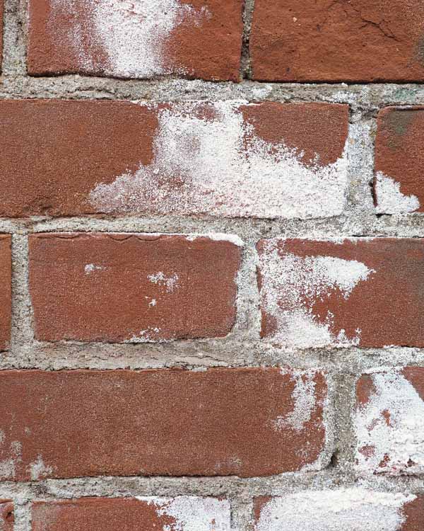 Efflorescence on bricks