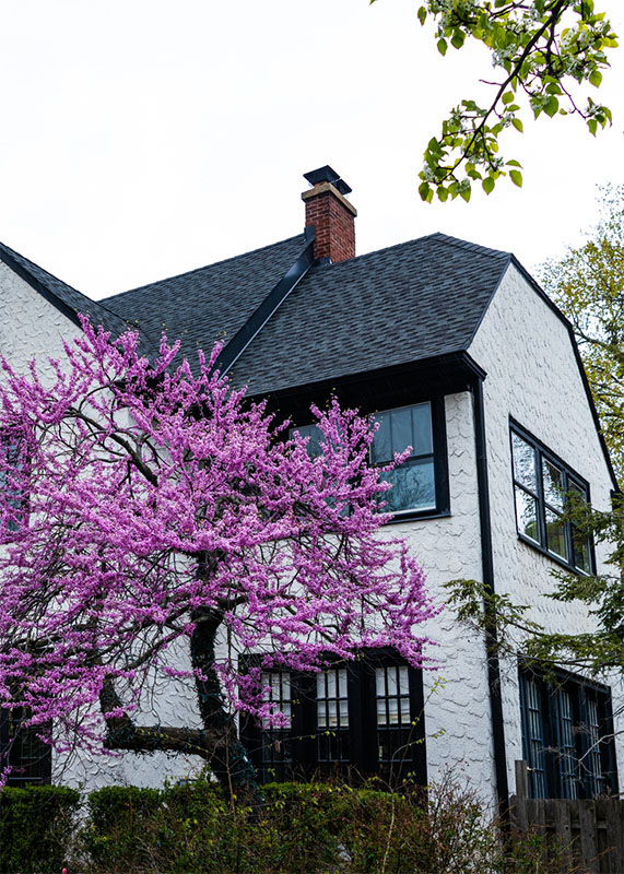 White House with a dark roof and a brick chimney